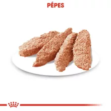 Royal Canin EXIGENT 12x85g nedves kutyaeledel