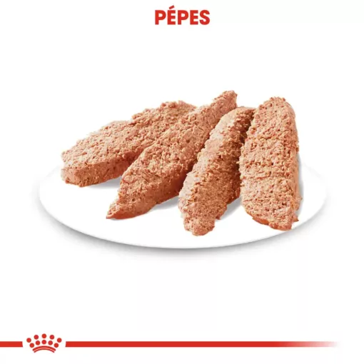 Royal Canin EXIGENT 12x85g nedves kutyaeledel