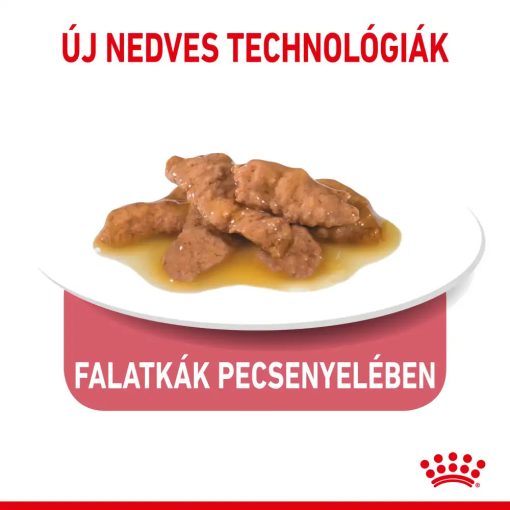 Royal Canin Indoor Sterilised Gravy 12x85g nedves macskaeledel
