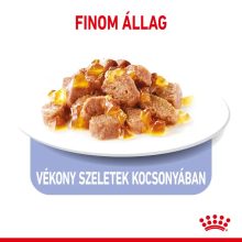 Royal Canin APPETITE CONTROL CARE JELLY 85g nedves Macskaeledel
