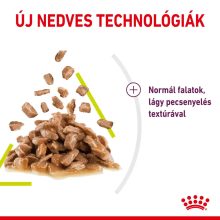 Royal Canin Sensory Smell-nedves macskaeledel Szószban 12x85g