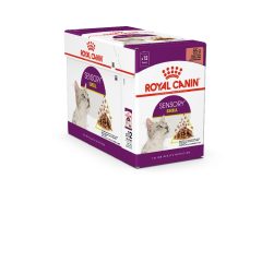 Royal Canin Sensory Smell Jelly nedves macskaeledel 12x85g