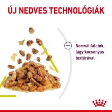 Royal Canin Sensory Smell Jelly nedves macskaeledel 12x85g