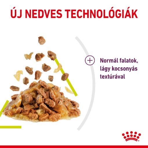 Royal Canin Sensory Smell Jelly nedves macskaeledel 12x85g