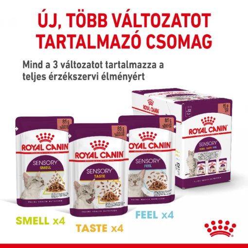 Royal Canin Sensory Smell Jelly nedves macskaeledel 12x85g