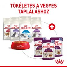 Royal Canin Sensory Smell Jelly nedves macskaeledel 12x85g