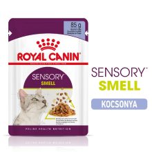 Royal Canin Sensory Smell Jelly nedves macskaeledel 12x85g