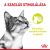 Royal Canin Sensory Smell Jelly nedves macskaeledel 85g