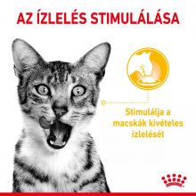 Royal Canin Sensory Taste Gravy nedves macskaeledel 85g