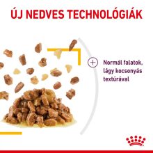 Royal Canin Sensory Taste Jelly-nedves macskaeledel 12x85g