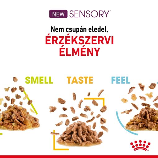 Royal Canin Sensory Feel Jelly nedves macskaeledel 85g