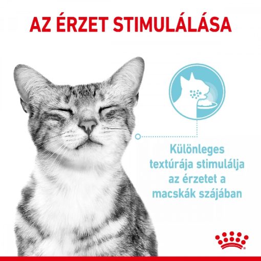 Royal Canin Sensory Feel Jelly nedves macskaeledel 85g