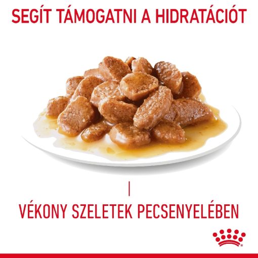 Royal Canin FCN Hair&Skin Care 12x85g Nedves Macskaeledel