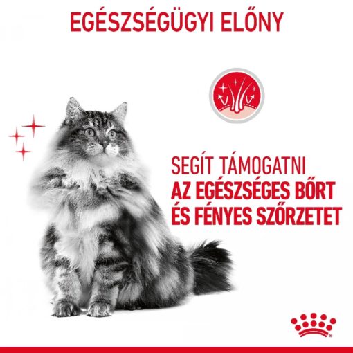 Royal Canin FCN Hair&Skin Care 12x85g Nedves Macskaeledel