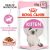 Royal Canin KITTEN GRAVY 12x85g nedves macskaeledel