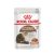 Royal Canin AGEING GRAVY +12 85g Nedves macskaeledel