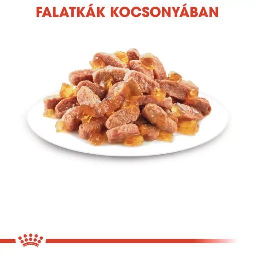 Royal Canin KITTEN JELLY 12x85g nedves macskaeledel