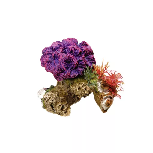 NOBBY 28175 DEKOR KORAL 13x10x12cm