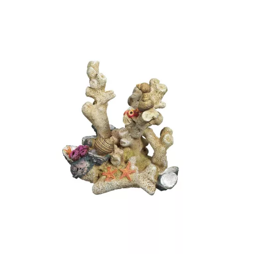NOBBY 28587 DEKOR KORAL 13x9,5x14cm