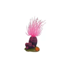 NOBBY 28720 DEKOR APLYSINA 6,3x5,8x12cm