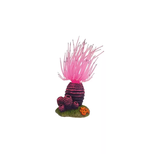 NOBBY 28720 DEKOR APLYSINA 6,3x5,8x12cm