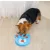   M-PETS logikai játék kutyáknak 1. szint Brainy Games Darwin