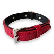 M-PETS nyakörv csontokkal és medállal Carmen S 1,5x22-30cm piros