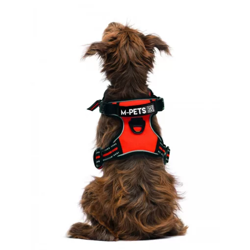 M-PETS hám túrázáshoz M 2,5/35-60/40-75cm narancs