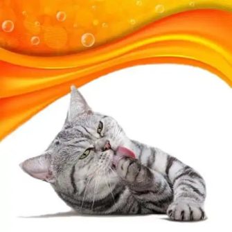 Macska alom, WC, alomtál és lapát