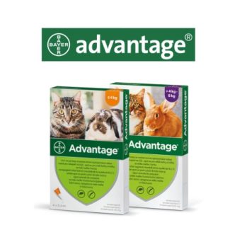 Advantage spot on - bolha elleni védelem macskáknak és nyulaknak