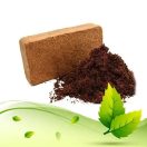 Terrárium talajok és aljzatok