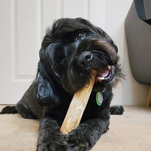 Fogtisztító Kávéfa Rágóbot XXS kutyáknak