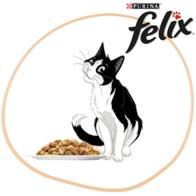 Miért jó választás a Félix macskaeledel?