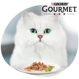 A cicád miért választaná a Gourmet macskaeledelt?