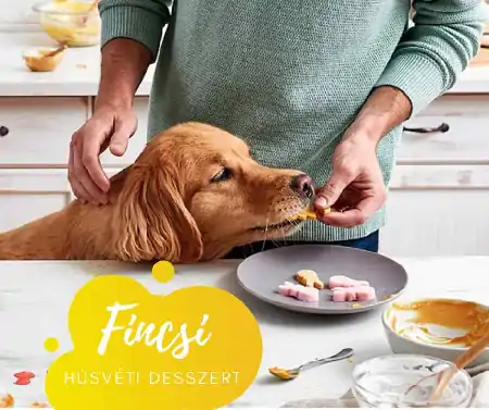 Házi készítésű snack falatok kutyáknak Húsvétra