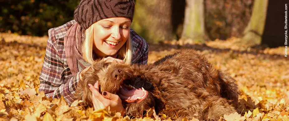 gazi kutyájával ősszel