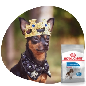 A Royal Canin kutyatáp remek választás minden eb számára