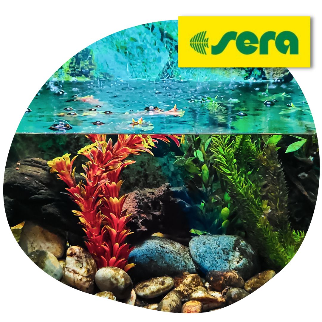 A kishalak egyik kedvenc eledele: Sera Artemia Mix