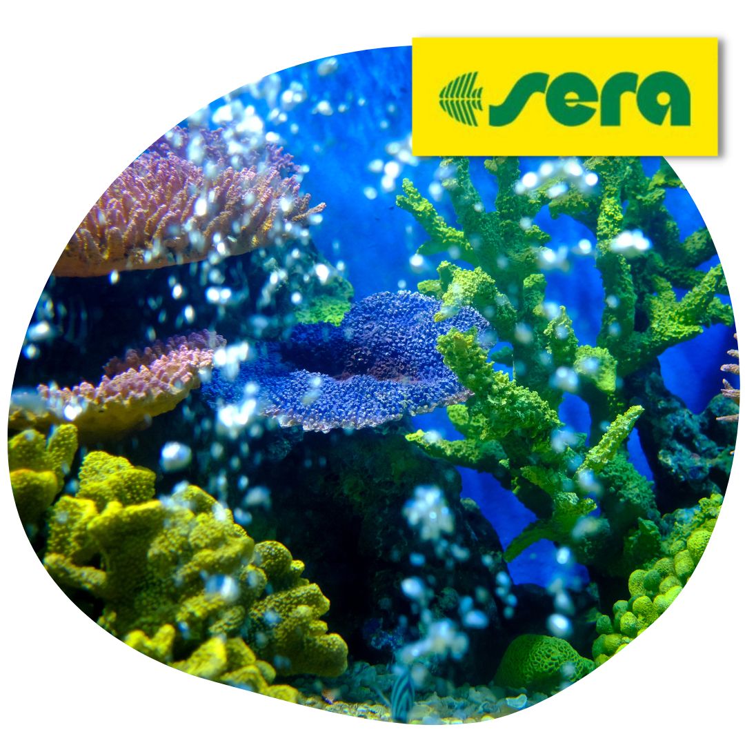 Miért jó választás a Sera Ectopur akváriumi vízkezelő só?