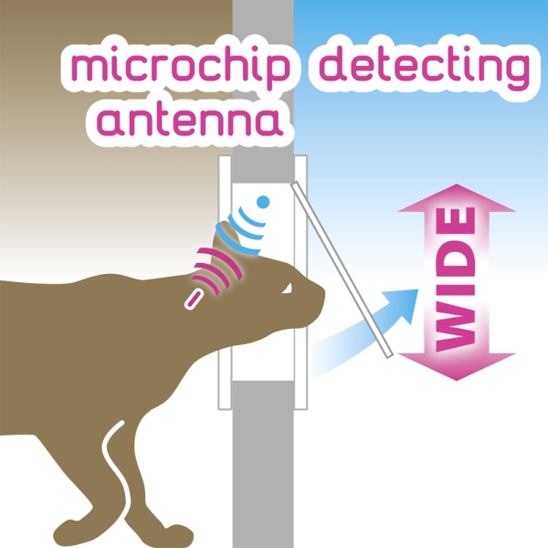 A microchip érzékelő működése
