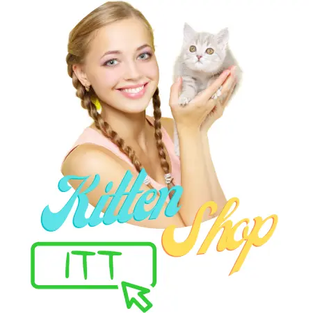 kitten shop