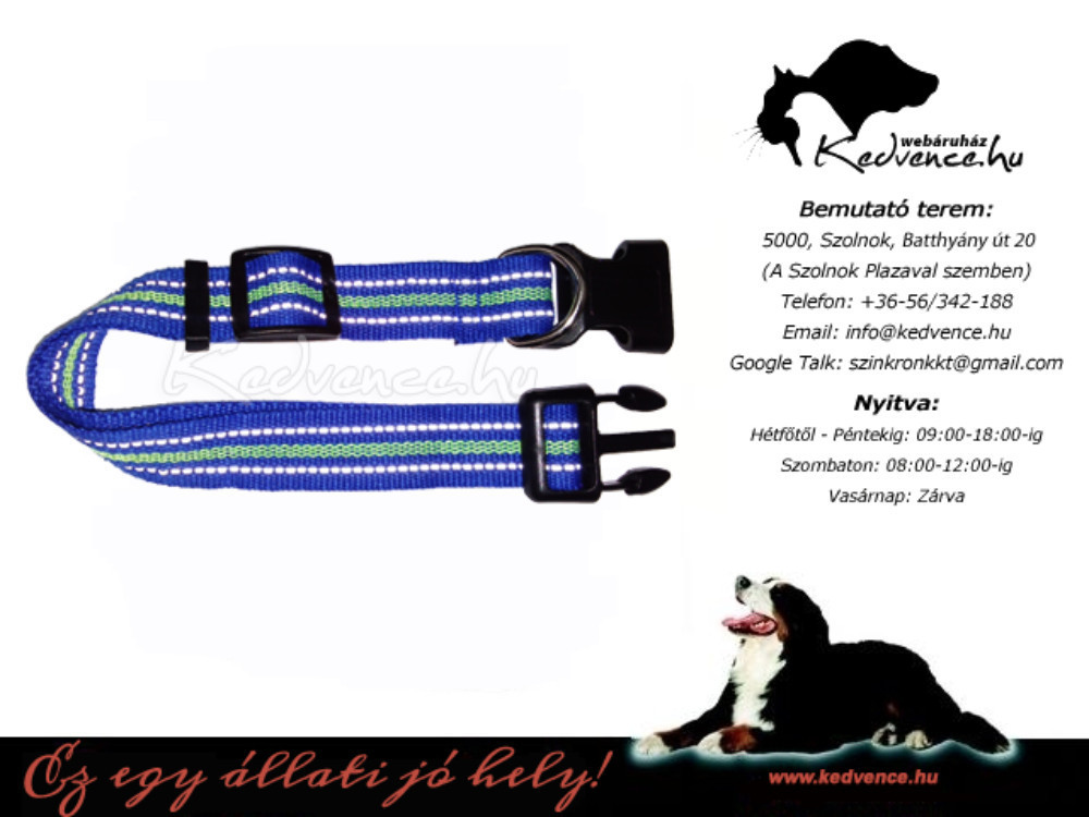 Kedvenc Textil kutya nyakörv 2,5 x 50 cm